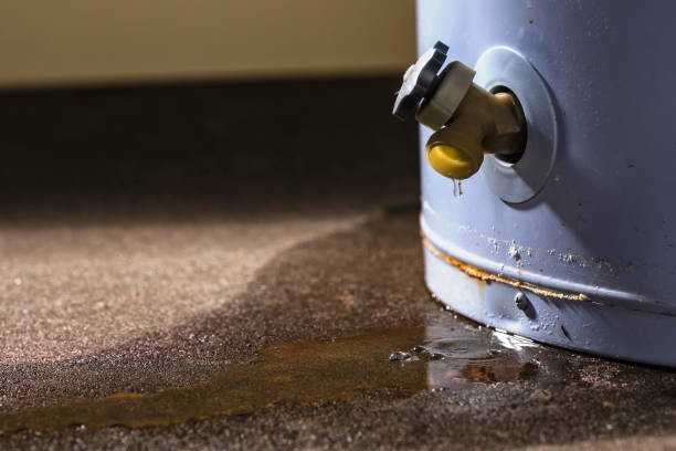 Best Ceiling water damage repair  in Orida City, FL