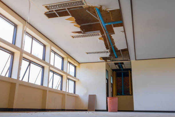 Best Commercial water damage restoration  in Orida City, FL