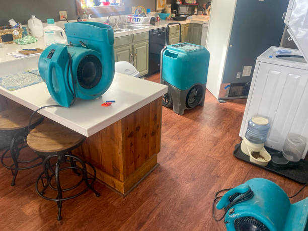 Best Emergency water extraction  in Orida City, FL