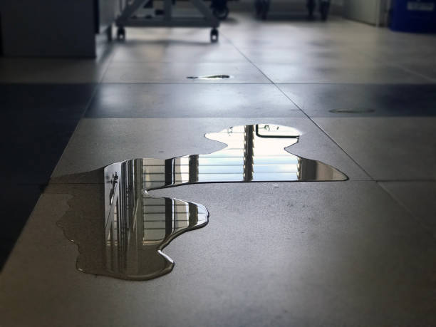 Best 24-hour water damage restoration  in Orida City, FL