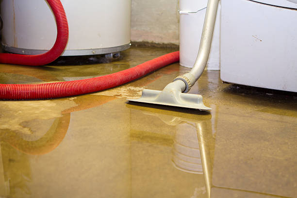 Best Commercial water damage restoration  in Orida City, FL