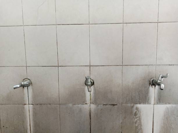 Best 24/7 water damage repair  in Orida City, FL