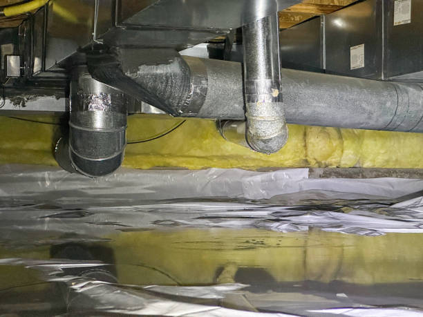 Best Water damage restoration near me  in Orida City, FL