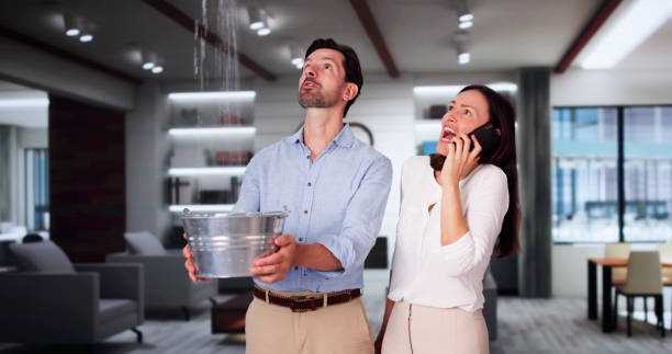 Best Water damage contractors near me  in Orida City, FL