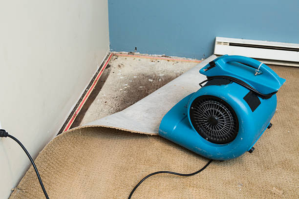 Best Emergency water damage restoration  in Orida City, FL